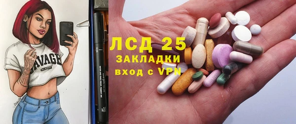 ПСИЛОЦИБИНОВЫЕ ГРИБЫ Иннополис
