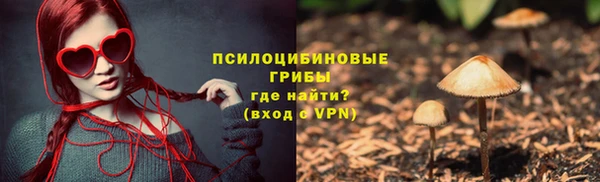 a pvp Каменск-Шахтинский